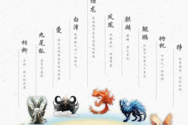 白泽五行的神秘力量与实际应用解析
