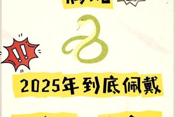本命年蛇男如何调整生活节奏与优先事项