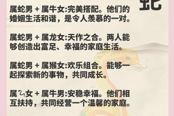 本命年蛇男如何调整生活节奏与优先事项