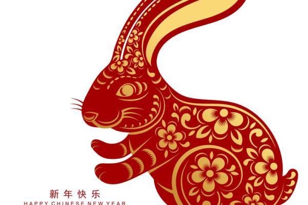 本命年兔男如何拓宽自己的视野