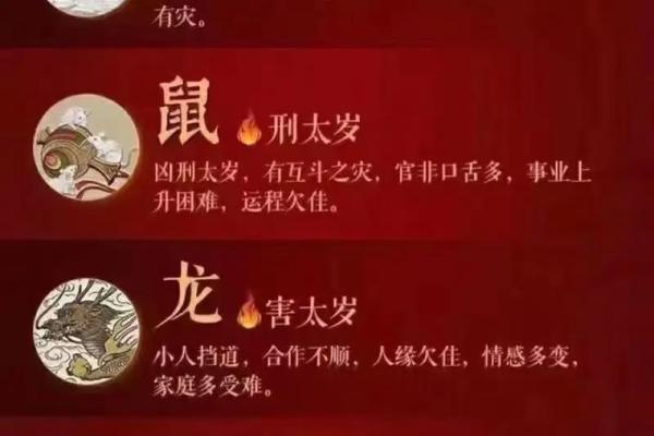 本命年兔男如何拓宽自己的视野