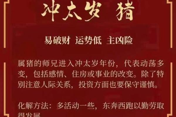 本命年蛇男的学业与事业发展方向