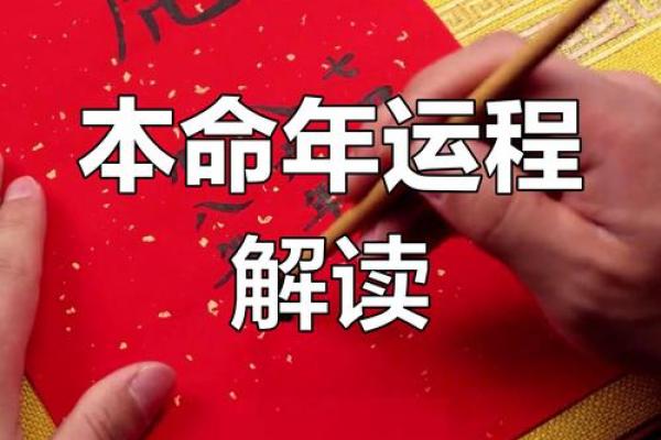属虎人如何在本命年抓住机遇