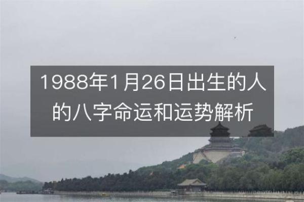 出生的命运特征与运势解析