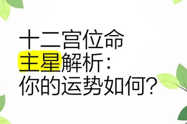 出生的命运特征与运势解析