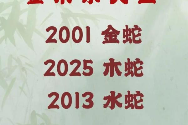 蛇男在本命年中如何实现自我突破