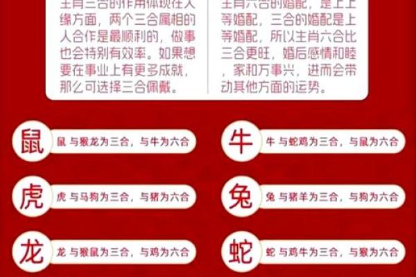 生肖运势全解析：每月运程详解