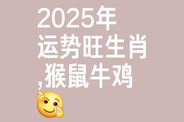 如何在猴年提升自身运势的五大策略