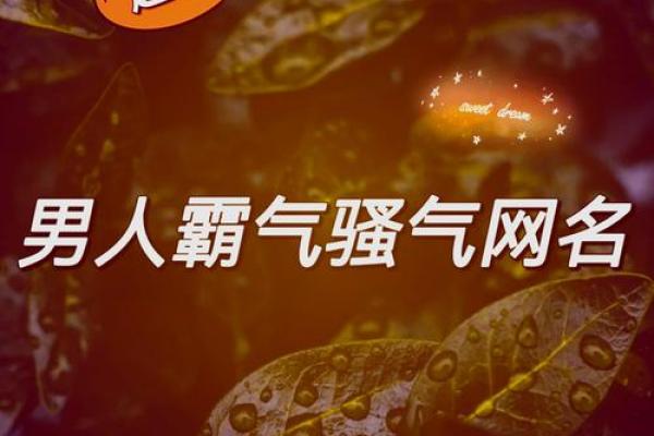 从经典到创意：适合各类游戏的名字灵感
