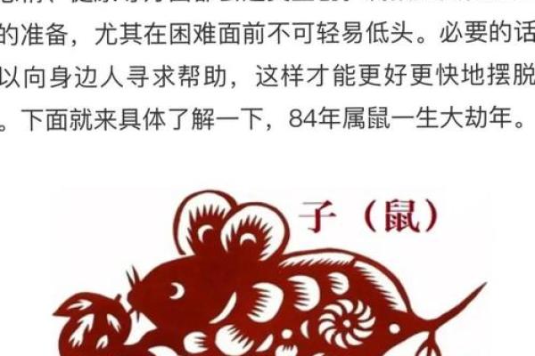 生肖运程详解：职场与财富的机遇与挑战