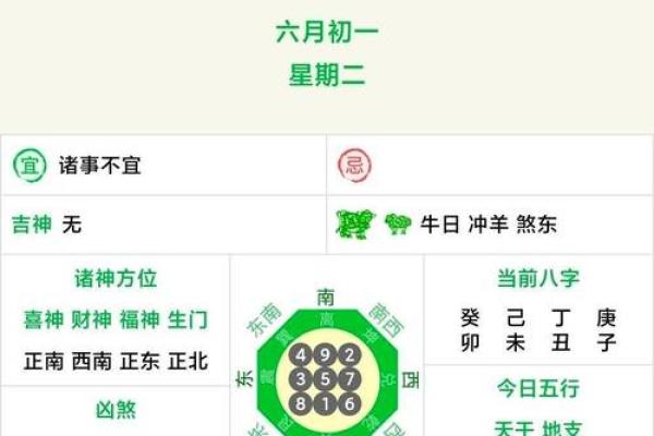 生肖运势重点解读