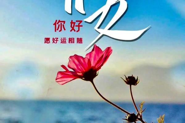 通过拍照了解你的运势走势