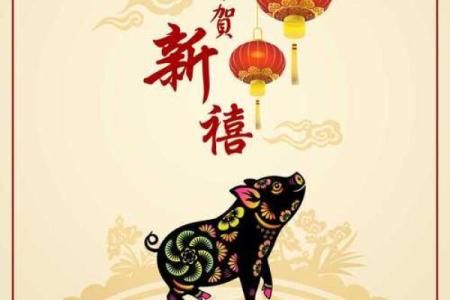 属虎人在本命年如何应对生活中的变化