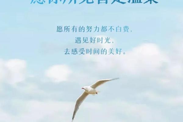 充满正能量的微信名字，传递阳光与希望