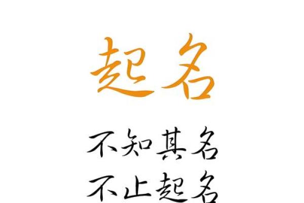 从名字看人生：探索名字的独特意义