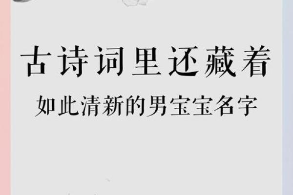 宝宝起名宝典:用诗词赋予名字独特韵味 宝宝起名宝典:用诗词赋予名字独特韵味