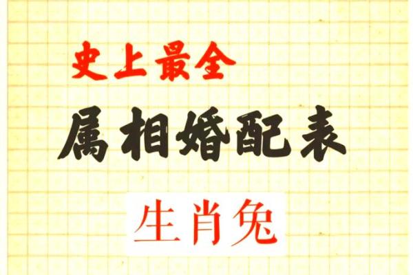 属兔和属狗的婚姻能否长久