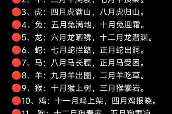 生肖运程解析，揭示未来一年的运势变化