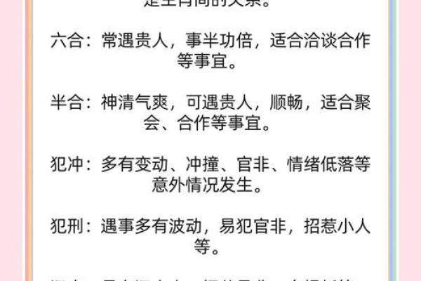 生肖运程解析，揭示未来一年的运势变化