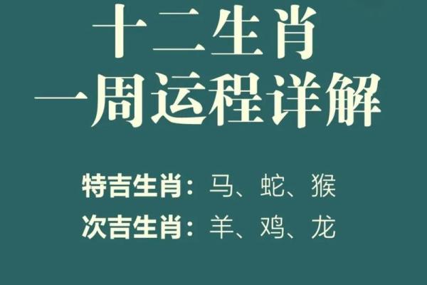十二生肖今日运势指南：事业、财运、感情全盘托出