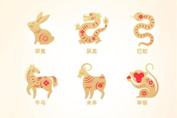 生肖运程预测：各个属相的财运与健康走势