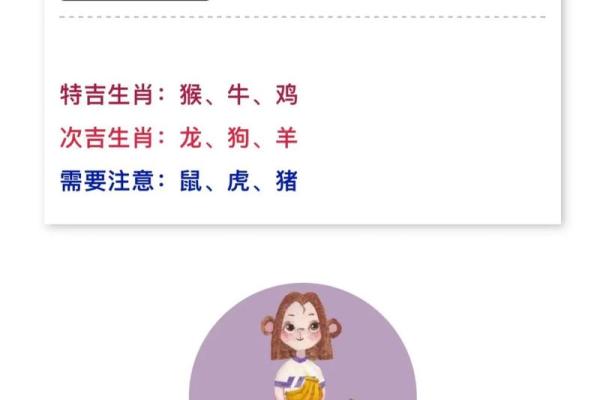 生肖运程预测：各个属相的财运与健康走势