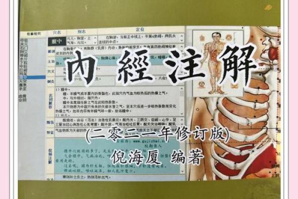 三阴一阳八字解析：揭开命运的神秘面纱！