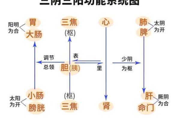 三阴一阳八字解析：揭开命运的神秘面纱！