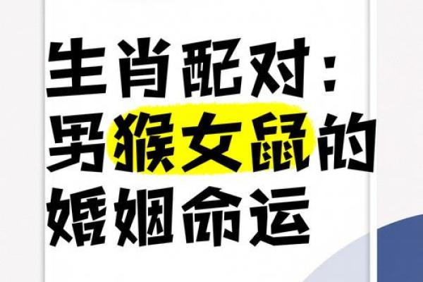 探讨蛇男与猴女的婚姻：爱情与性格的相互契合