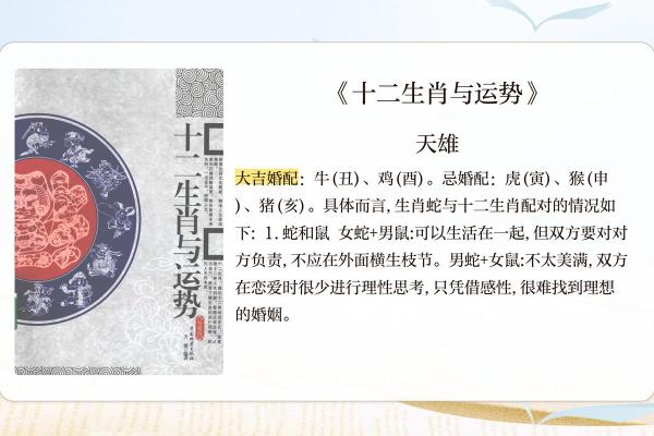 属蛇男与属牛女的性格契合度分析