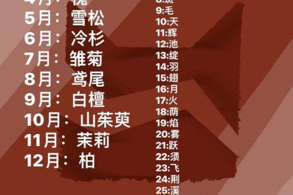 测试名字是否合适的几个关键因素