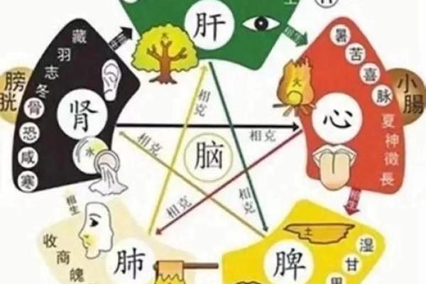 八字病的真正原因是什么？如何通过八字调理健康