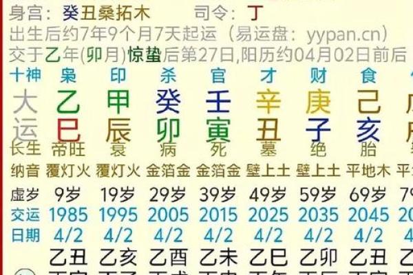 免费八字详批，揭秘你的命运走向！