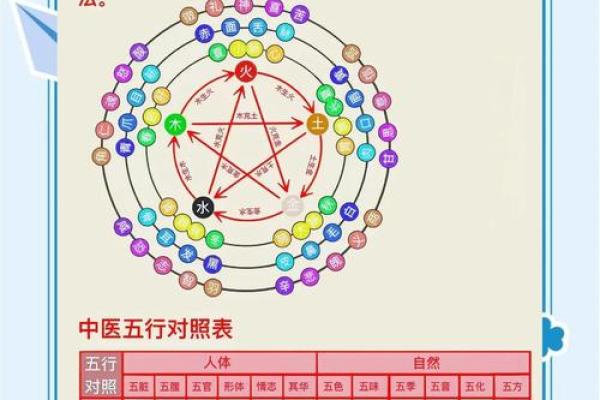 初夏五行理论揭秘，如何用五行养生？
