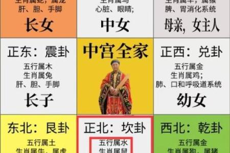 鼠生肖每月运势预测，助你规划每月人生方向