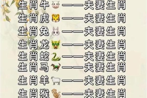 生肖配对：属龙与属蛇的缘分深浅解析