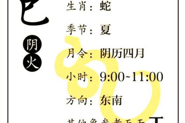 属龙与属蛇的性格匹配度如何？揭开两者关系的真相