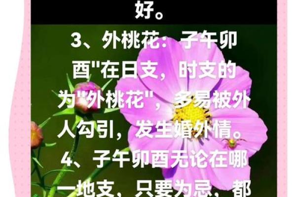 倒插桃花出现在生辰八字里，如何破解这一情感难题？