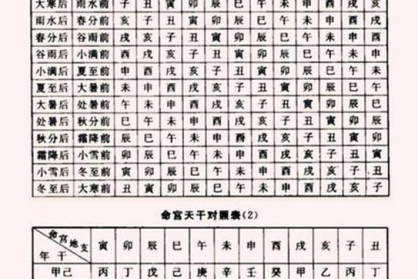 出生的五行属什么？解读你的命理特征与运势
