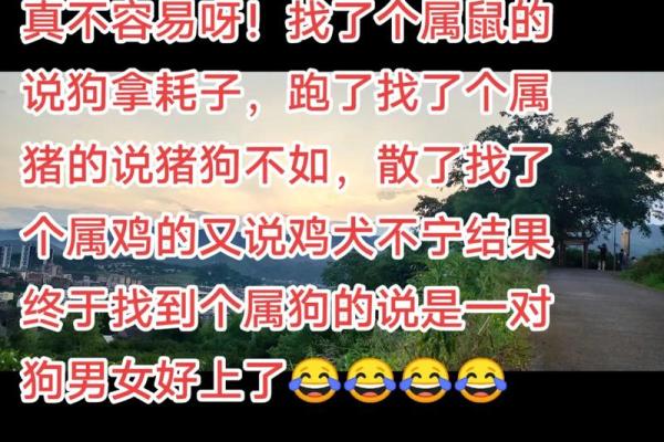 属鼠男和属狗女的婚姻缘分 是否能长久