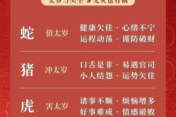 本命年对蛇女的事业发展的影响