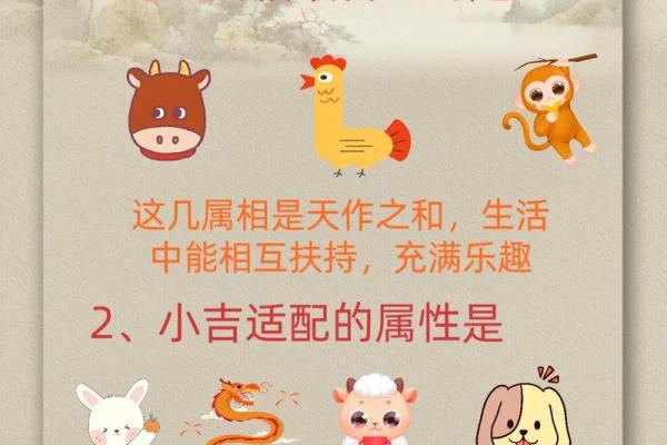 本命年对蛇女的事业发展的影响