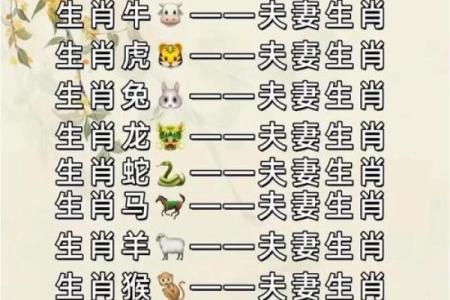 生肖配对：属龙与属蛇的缘分深浅解析