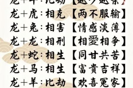 属龙与属蛇的性格匹配度如何？揭开两者关系的真相