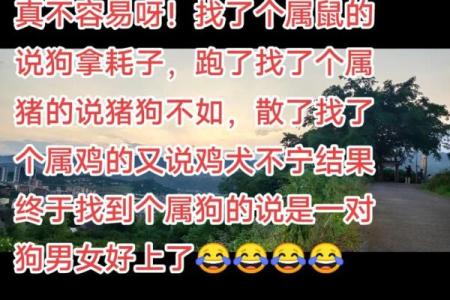 属鼠男和属狗女的婚姻缘分 是否能长久