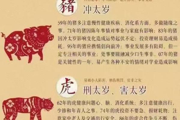 本命年蛇男的幸运色与数字是什么