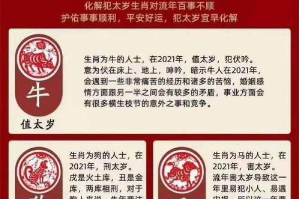 本命年蛇男的幸运色与数字是什么