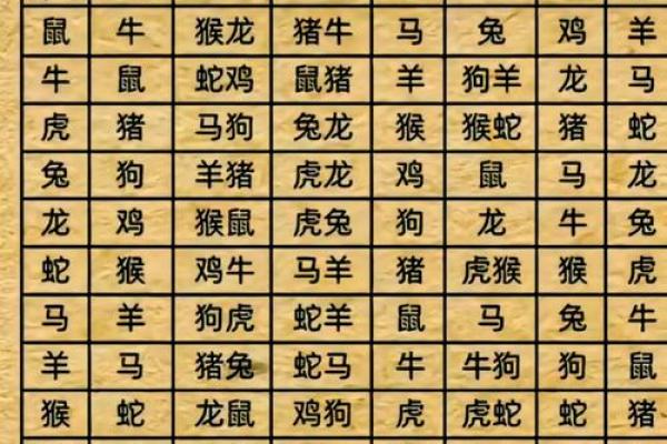 女虎男马合适吗？看看生肖组合如何影响感情