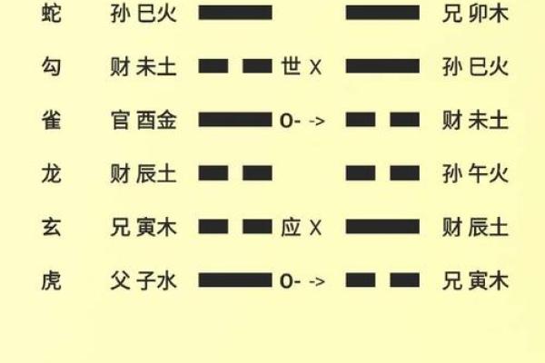 从八字到卦象：简单步骤教你精准预测未来