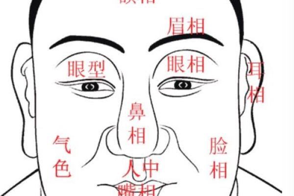 半月命与人生运势的关系揭秘
